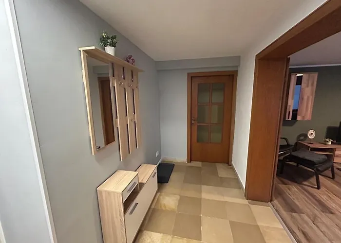 Clemens 尼蒂戈恩